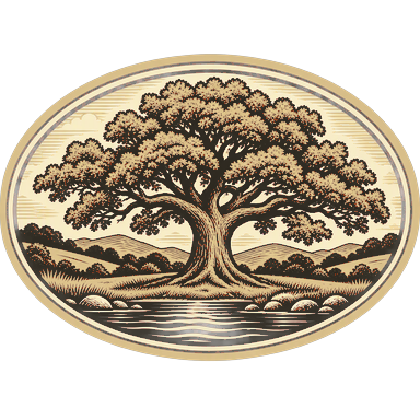 Flood Repair Chico logo